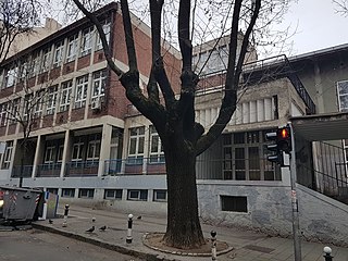 OŠ_Vladislav_Ribnikar_Beograd_(2)_03