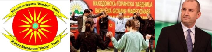 image (3)