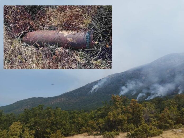 ZomboDroid_15082024011143